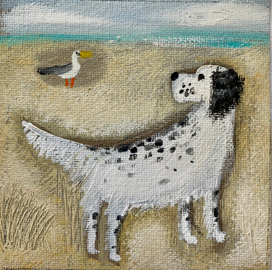 Alfie Spots A Gull