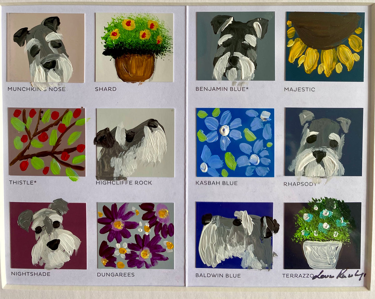 Schnauzer Colour Chart