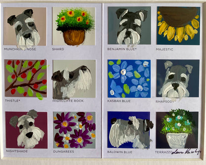 Schnauzer Colour Chart