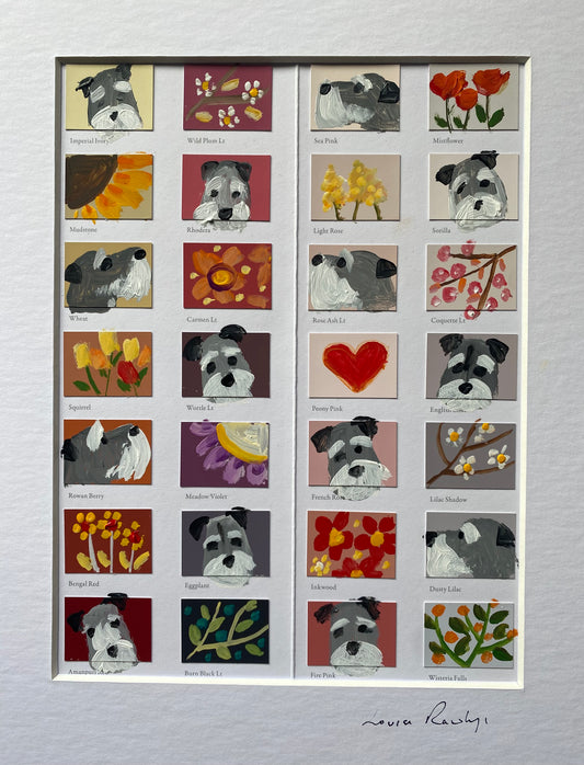 Schnauzer Colour Chart