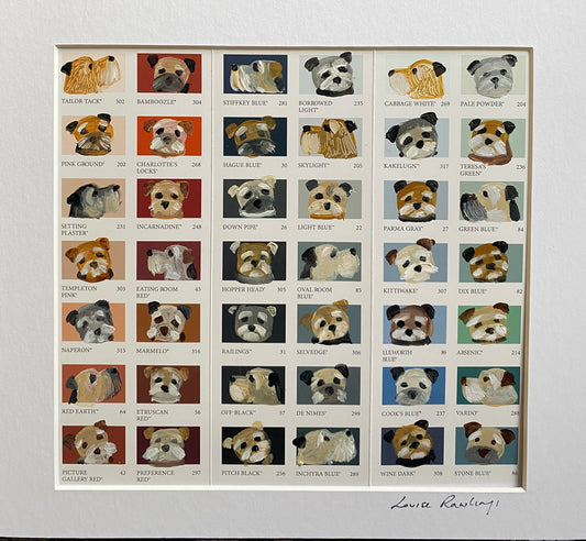 Border Colour Chart