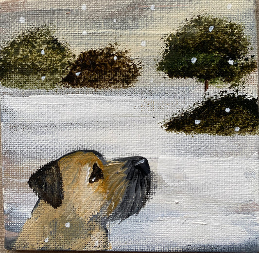 Cookie’s Cold Nose