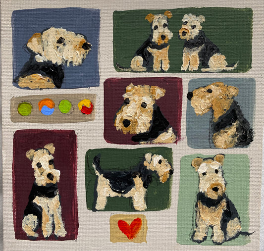 Patchwork Terriers