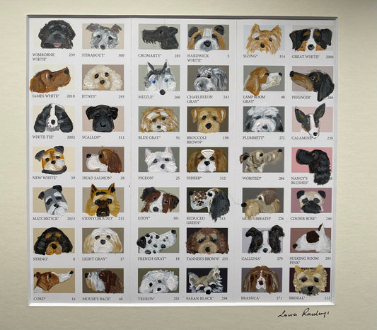 Multi Dog Colour Chart