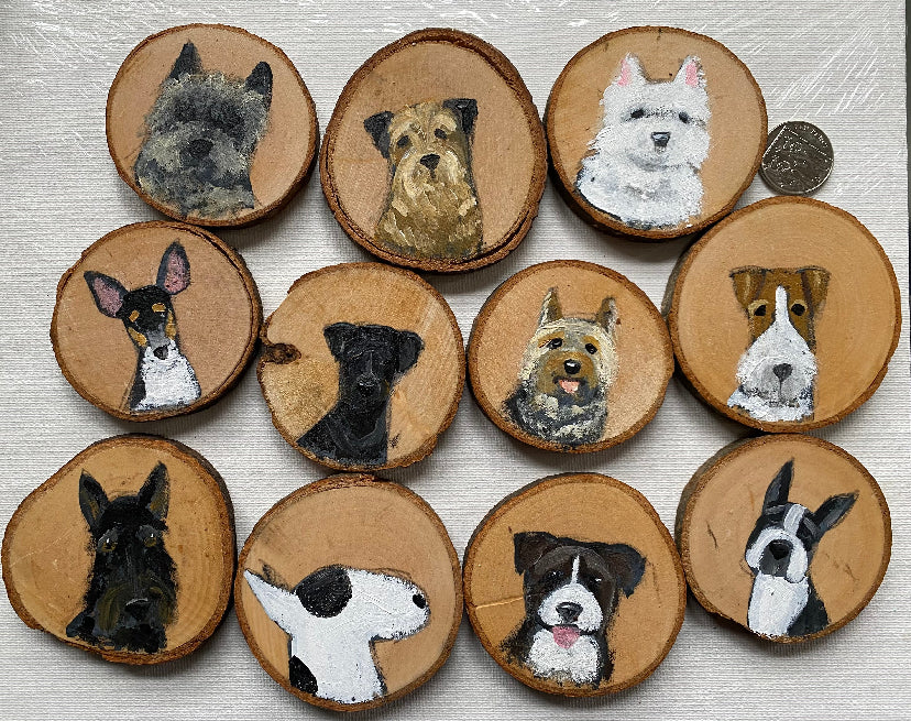 Chilled Out Terriers