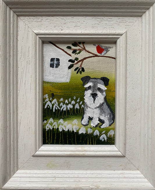 Schnauzer and Snowdrop Garden