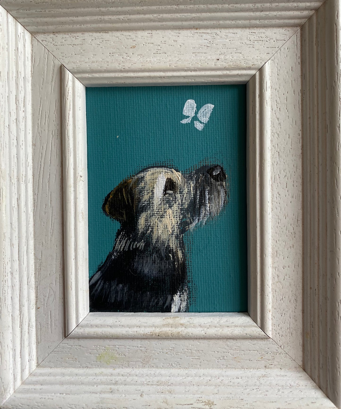 Monty