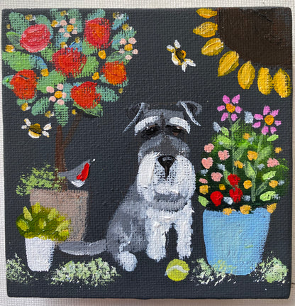 Grumpy Dave’s Summer Garden