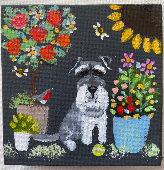 Grumpy Dave’s Summer Garden