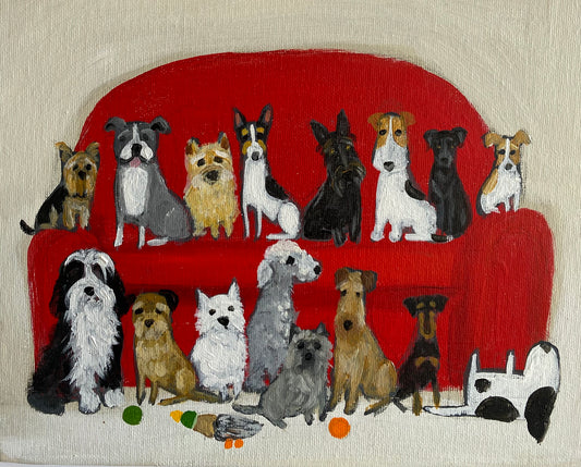 Chilled Out Terriers