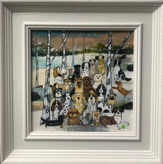 Can Everyone Look At The Camera