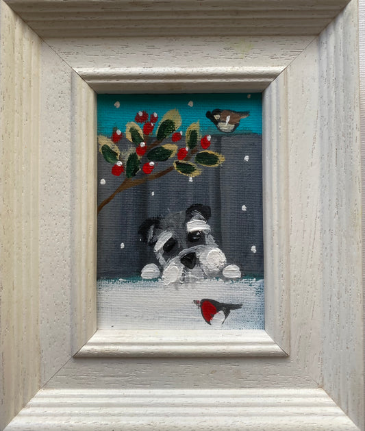 Peeping Schnauzer