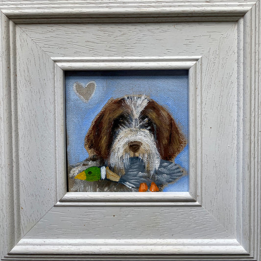 Dexter Loves  His Duck