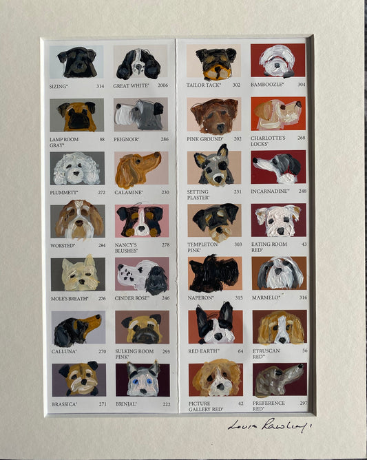 Dog Bingo Colour Chart