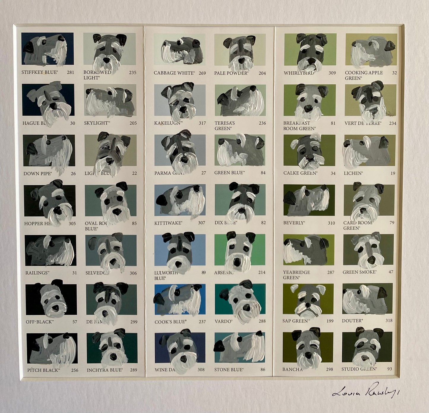 Schnauzer Colour Chart
