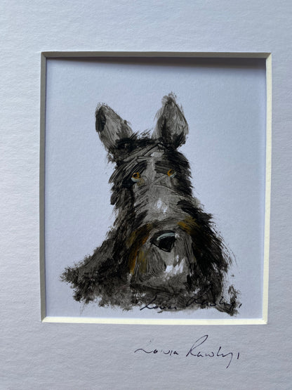 Scottie Bundle