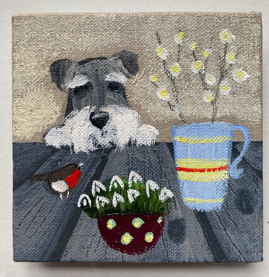 Sid Schnauzer and Snowdrops