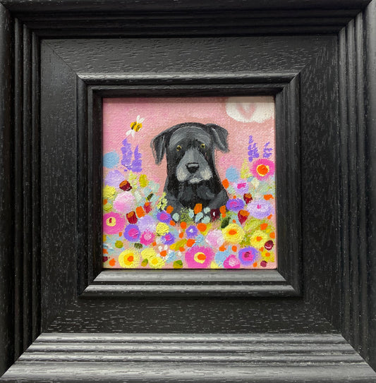 Resting Among The Blooms