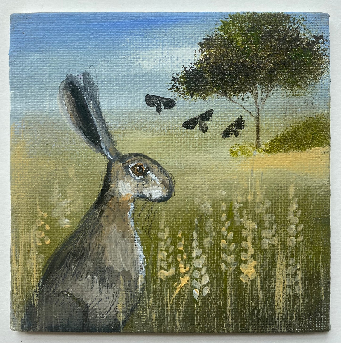 Late Summer Hare