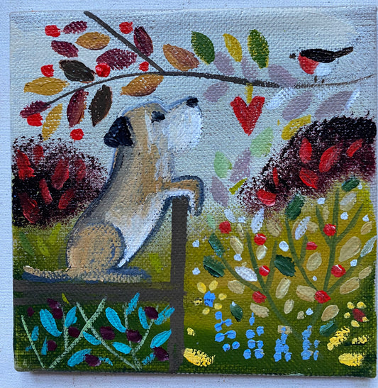 Monty and the Robin
