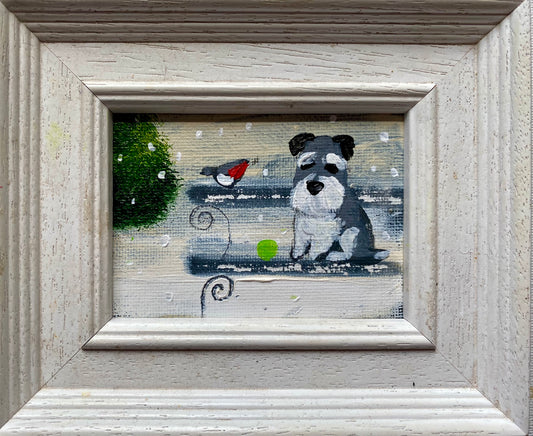 Snowy Schnauzer
