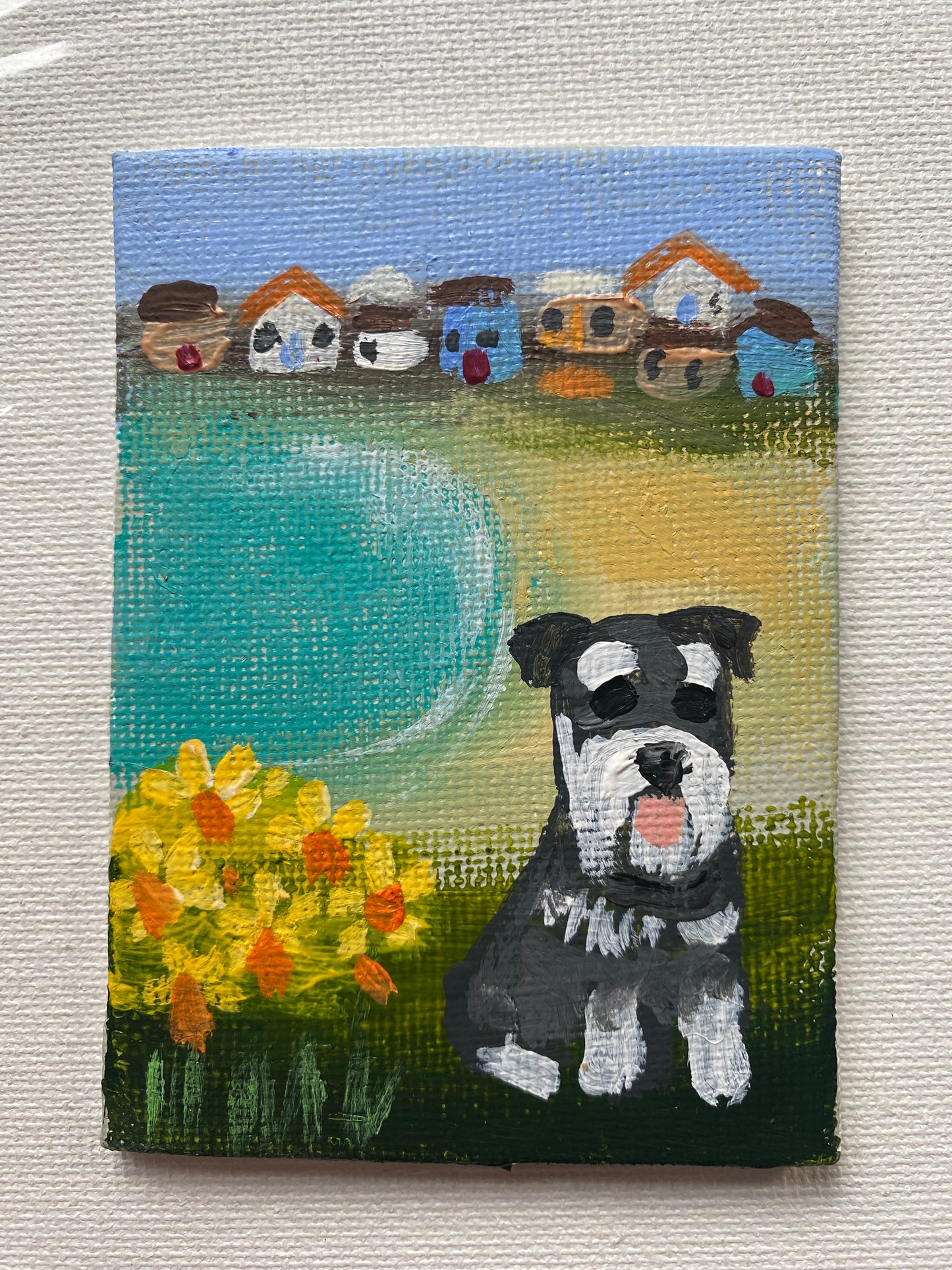 Daffs On The Headland