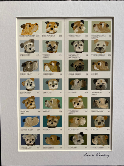 Border Colour Chart