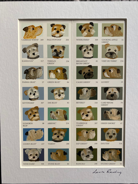 Border Colour Chart