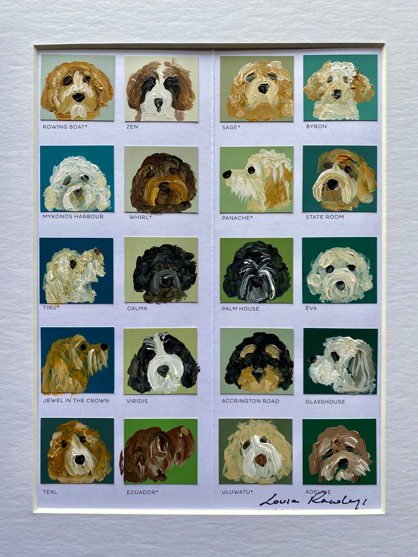 Curly Colour Chart