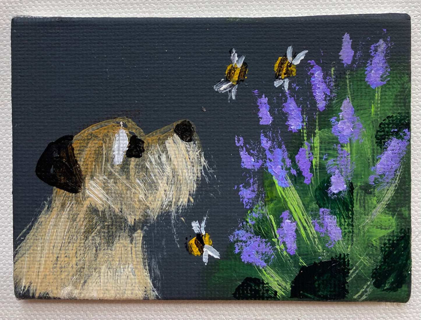 Lavender Daydreams