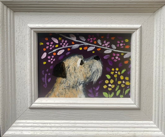 Cookie in the Spring Flowers