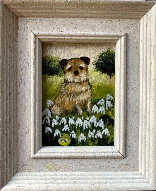 Tennis Ball In The Snowdrops