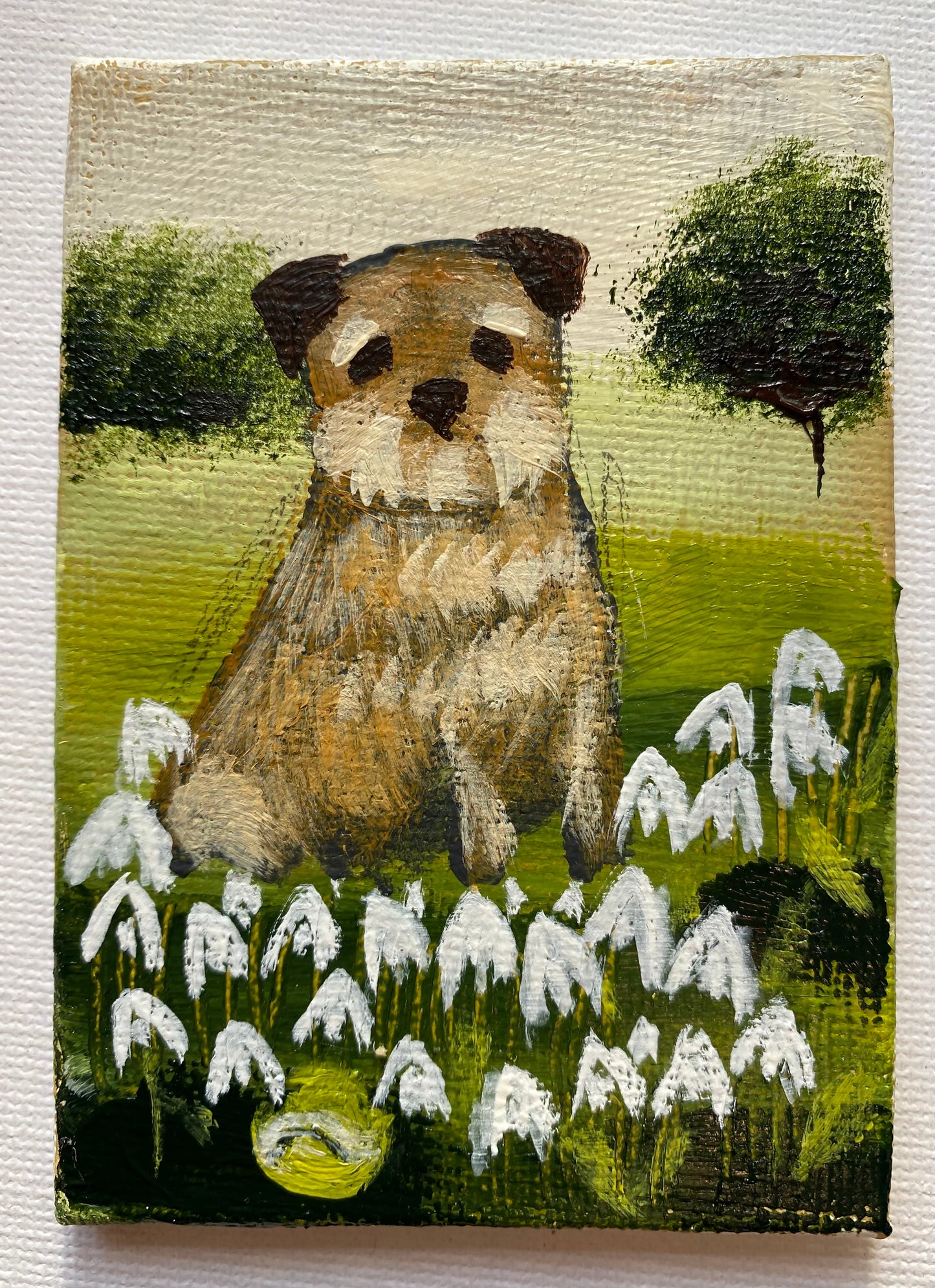 Tennis Ball In The Snowdrops