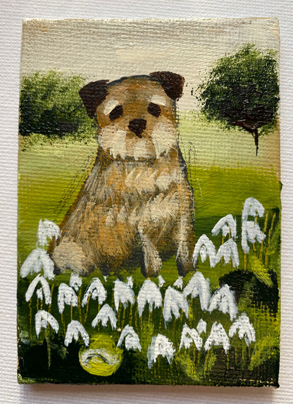 Tennis Ball In The Snowdrops