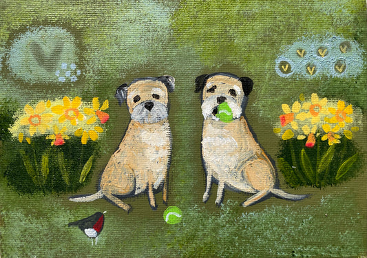 Boys Amongst The Daffs