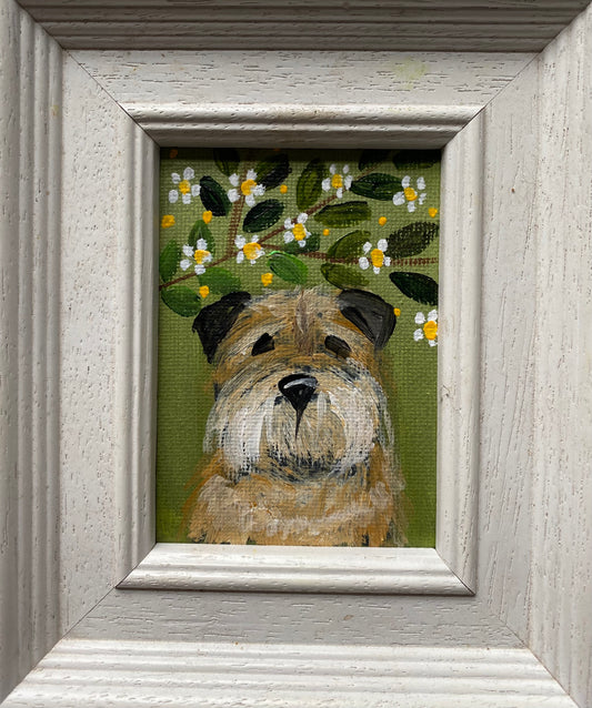 Buster Under The Blossom