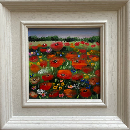 Amongst The Poppies