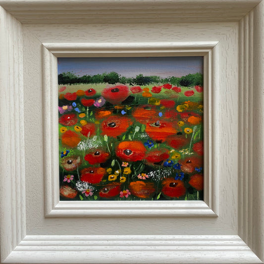 Amongst The Poppies