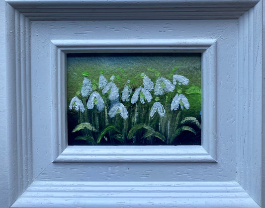 Mini Snowdrop Patch