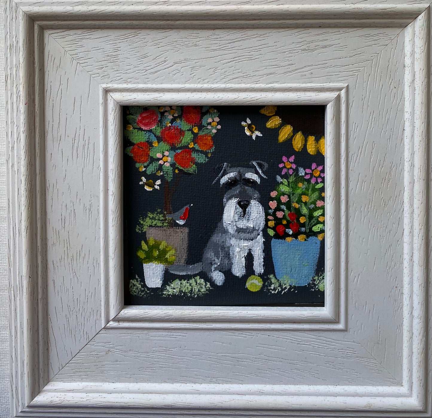 Grumpy Dave’s Summer Garden