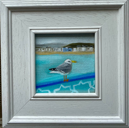 Llandudno Gull
