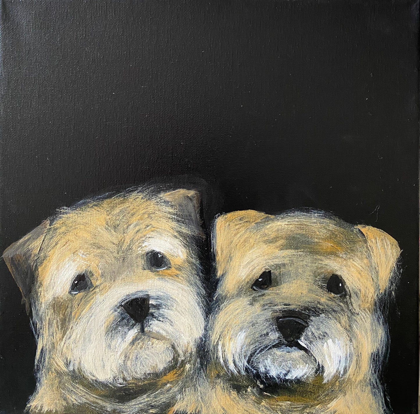 Ziggy and Bob