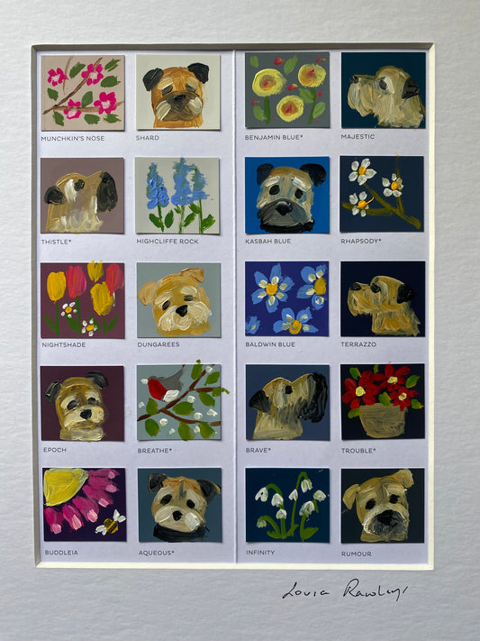Border Colour Chart