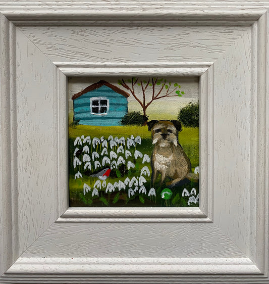 Snowdrops By The Blue Shed