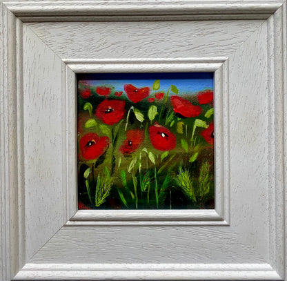 Among The Poppies