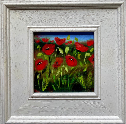 Among The Poppies