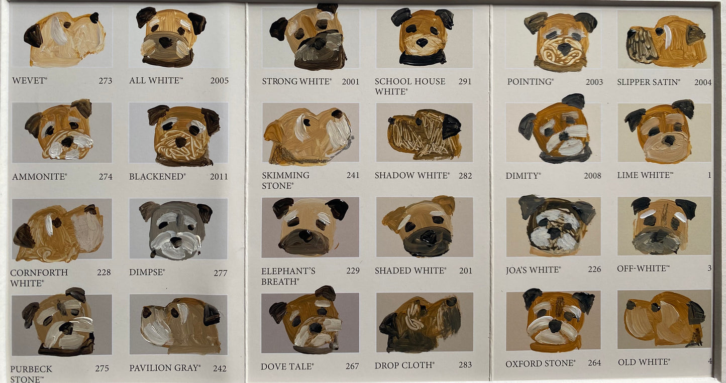 Border Colour Chart