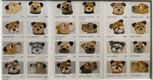Border Colour Chart