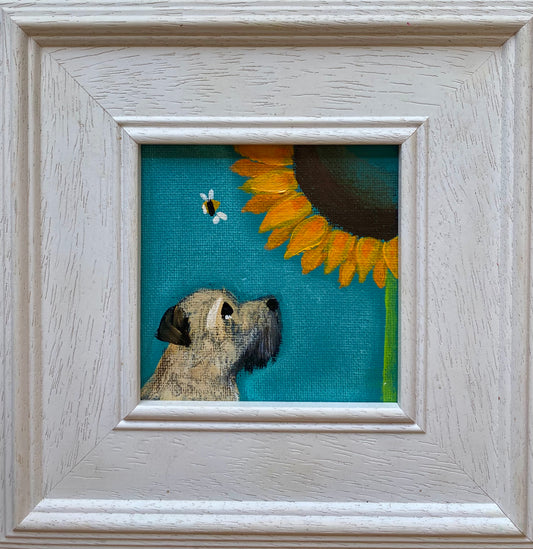 The Splendid Sunflower
