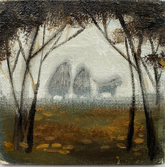 Early Morning Fog, October
